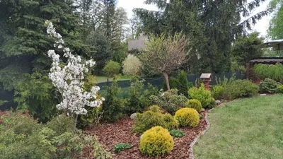 Giardini Polska - Usługi ogrodnicze i ESG